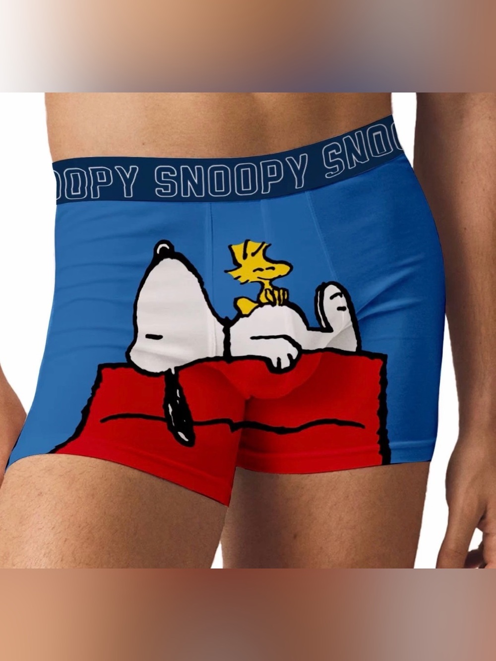 Peanuts Snoopy & Woodstock Blue Boxer Briefs, Size Large 36-38 Cartoon Underwear